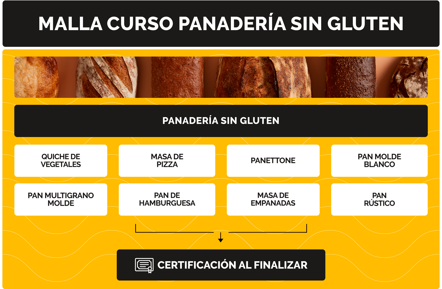 malla-panaderia-sin-gluten-min